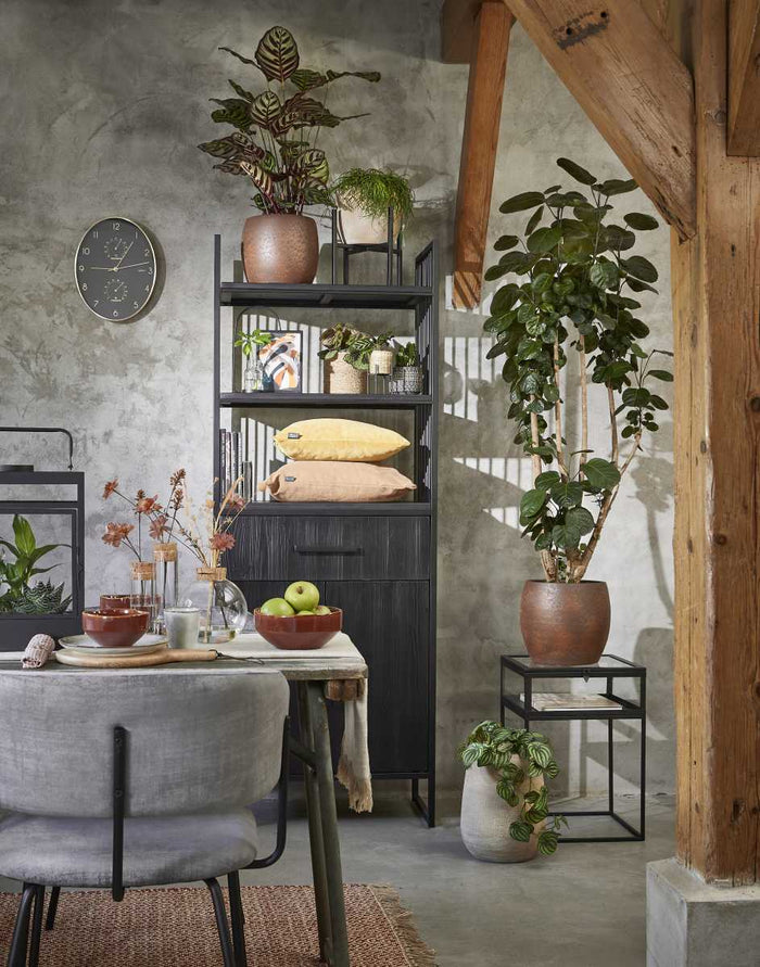 d2e45688-2f7b-4d4b-b72d-8da742c4bdea-afbeelding5.jpg (6908287)