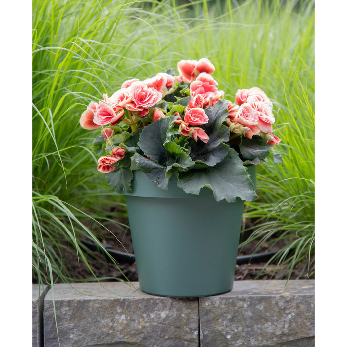 Mega Collections Plantenpot|bloempot - kunststof - groen - D16 cm