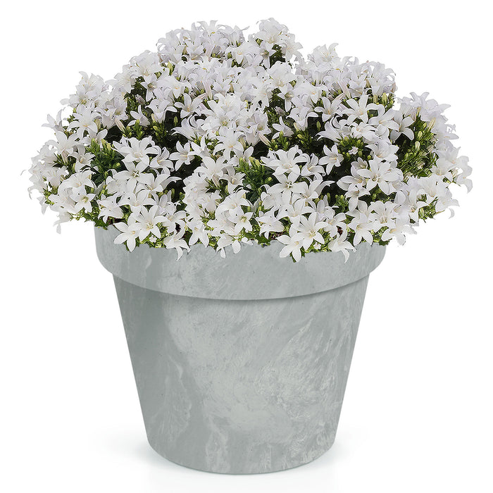 Prosperplast Bloempot - betonlook - lichtgrijs - kunststof - 25cm