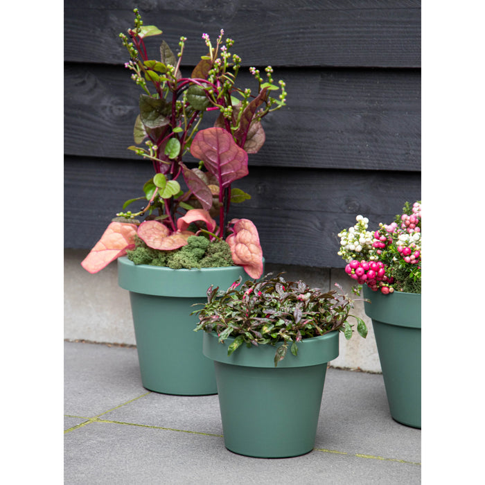 Mega Collections Plantenpot|bloempot - kunststof - groen - D20 cm