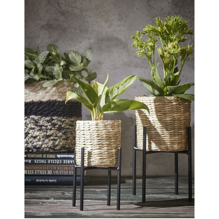 Set van 2x stuks plantenpot|bloempot plantenstandaard|verhoger zwart m