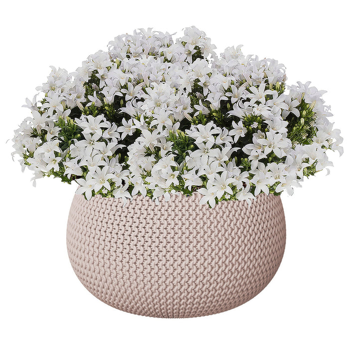 Prosperplast plantenpot|bloempot - kunststof - taupe - D30 x H22 cm