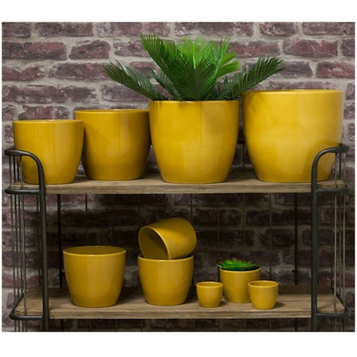 93bc4e29-dfbd-4aee-ba22-28ff87d73588-sfeerbeeld.jpg (6969760)