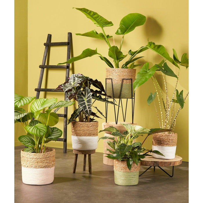 Mica Decorations bloempot plantenstandaard|verhoger - zwart - D18 x H2