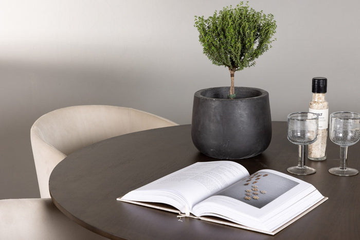 9e871f4b-1ab9-4e9f-a66e-a26d63b35c8b-afbeelding3.jpg (7028461)