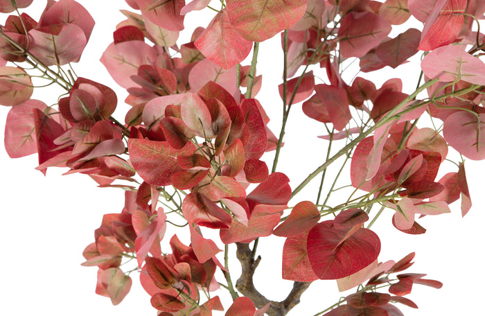 040d11ec-5871-4e67-9326-e0bf41a4981e-afbeelding6.jpg (7068739)