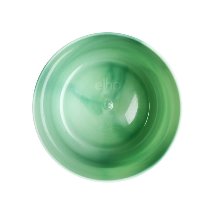 Verrassingsbox - 6 planten + elho Ocean Round Pacifisch groen Ø14