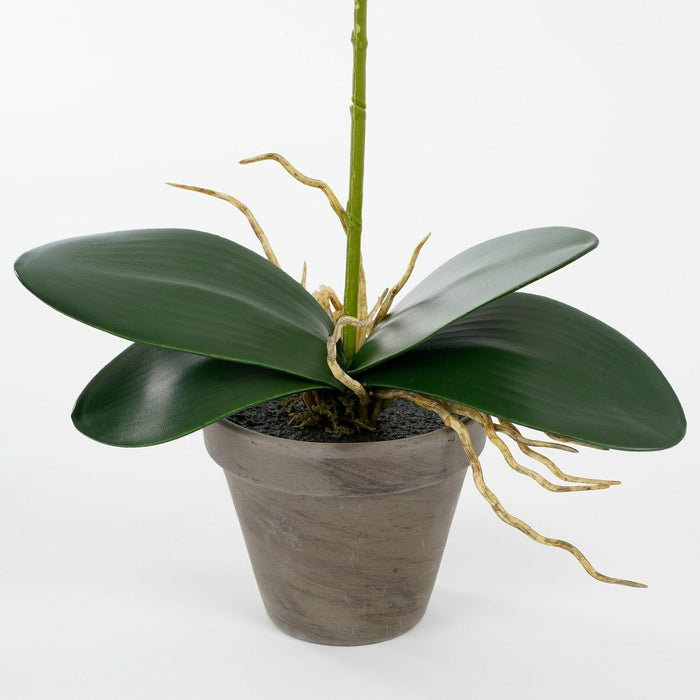 Mica Decorations Phalaenopsis Kunstplant - H48 x Ø13 cm - Wit