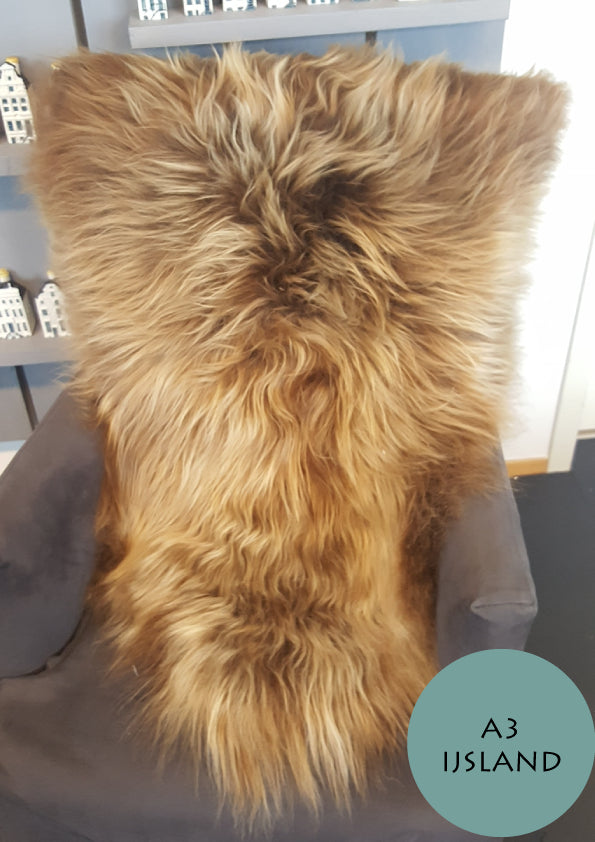 510b5e31-e5af-48ef-bf8a-d59569d1c804-afbeelding4.jpg (7203675)