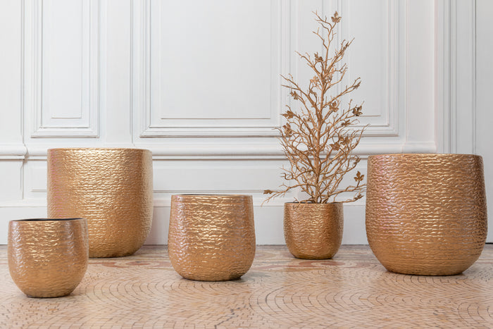 cfac1a5a-761c-4bfe-a218-c6e24af5cba6-sfeerbeeld.jpg (7216029)