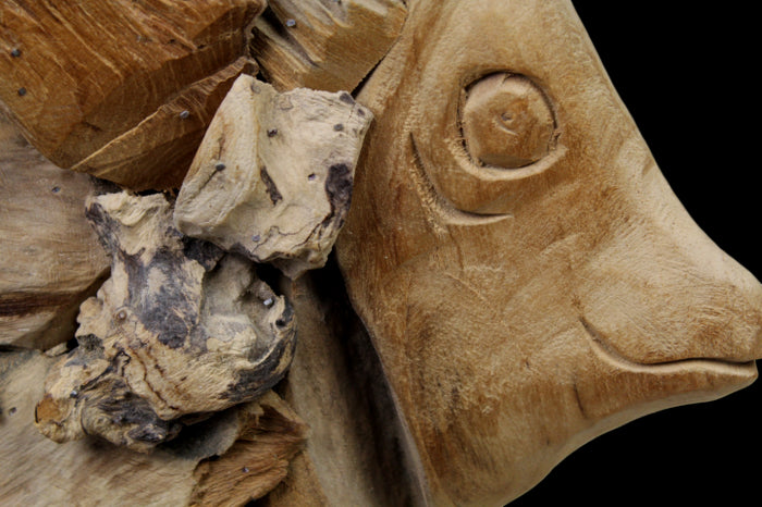 2642a631-76e4-4188-89f4-1b0721eb9319-afbeelding6.jpg (7293183)