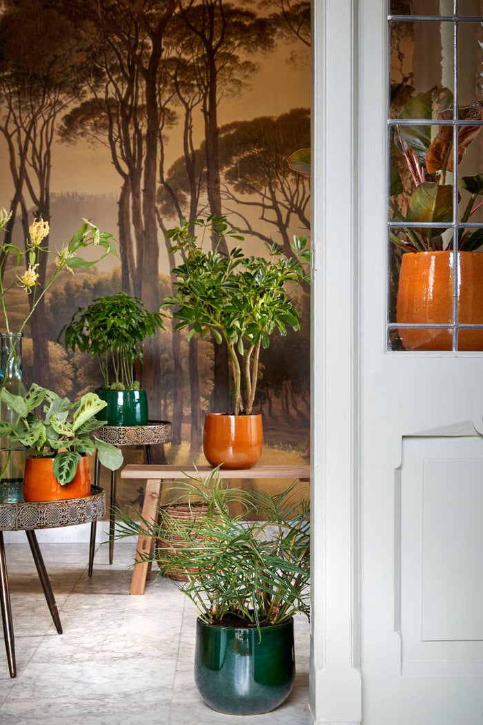 09b97d53-453c-4893-8448-41631e2a4bc4-afbeelding5.jpg (7298693)