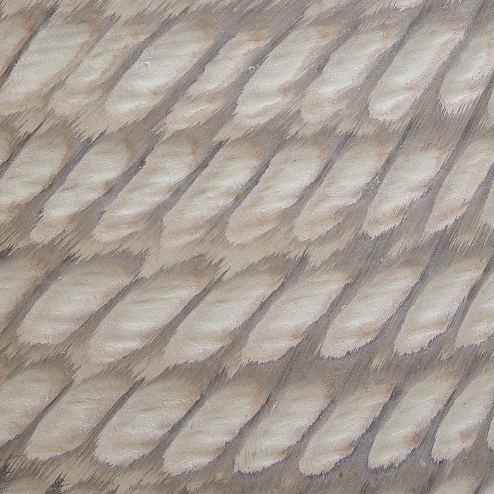 Beliani - LIVADIA - Bloempot - Taupe - 19 cm - Vezelklei