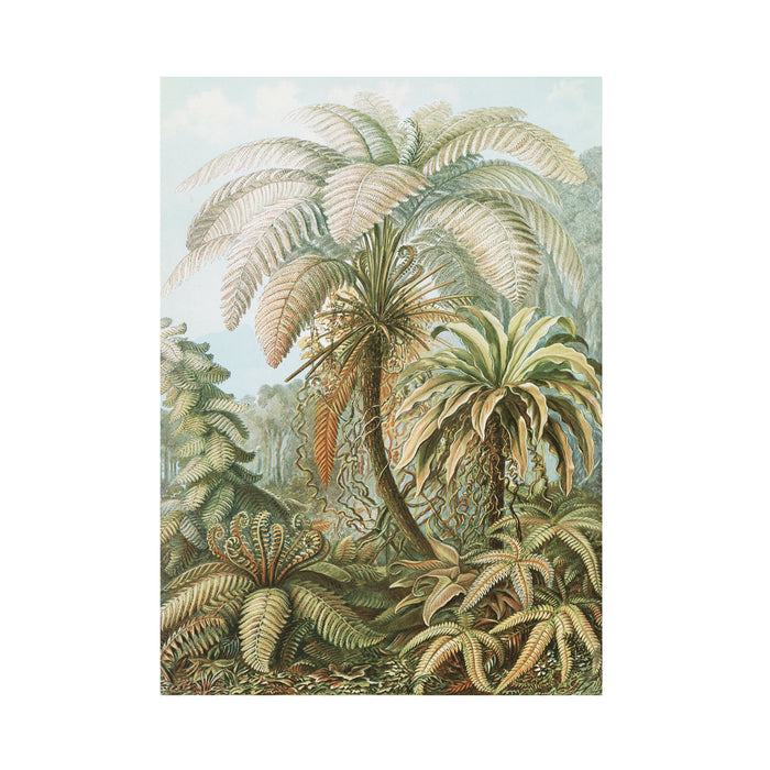 Art for the Home Jungle Filicinae Fotobehang 280x200 cm