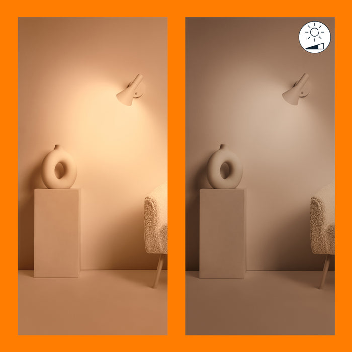 a3019e63-6508-4180-9c25-9256c5daeb84-afbeelding4.jpg (7466145)