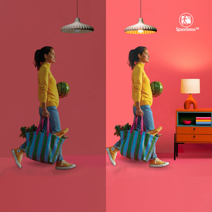 bc02998c-2392-4e37-93c7-c332ab123f67-afbeelding5.jpg (7468966)