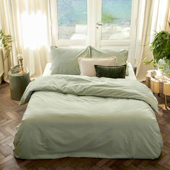 Walra Sweet Softy Dekbedovertrek 260 x 220/240 cm - Groen