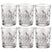 Bormioli Rocco Whiskeyglazen - 6x stuks - glas - 390 ml - gedecoreerd