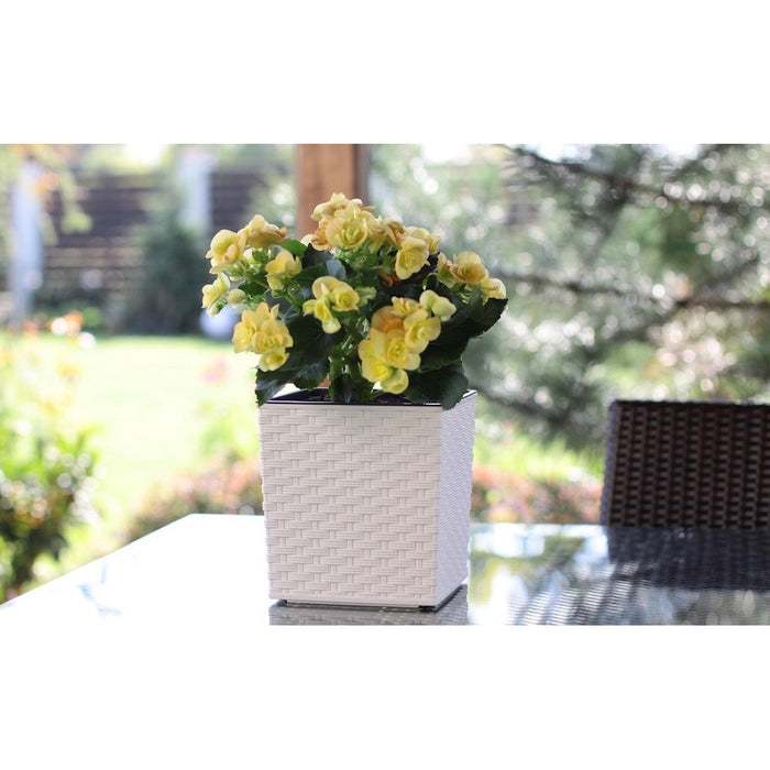 Prosperplast Plantenbak Rato - wit - kunststof - 32 cm