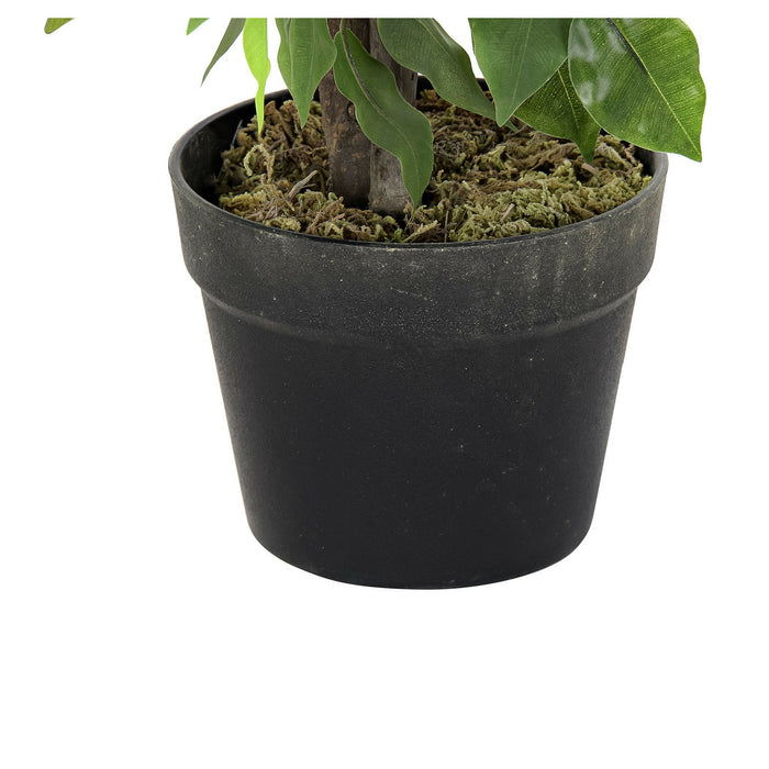 Items Kunstplant Ficus in bloempot - Groen - 50 x 90 cm
