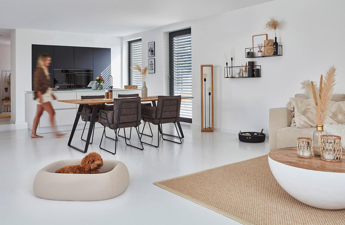 371e973e-9674-4f69-a076-fd6ad5dd823b-afbeelding6.jpg (7485188)