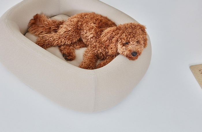 MiaCara Barca hondenmand small|medium taupe