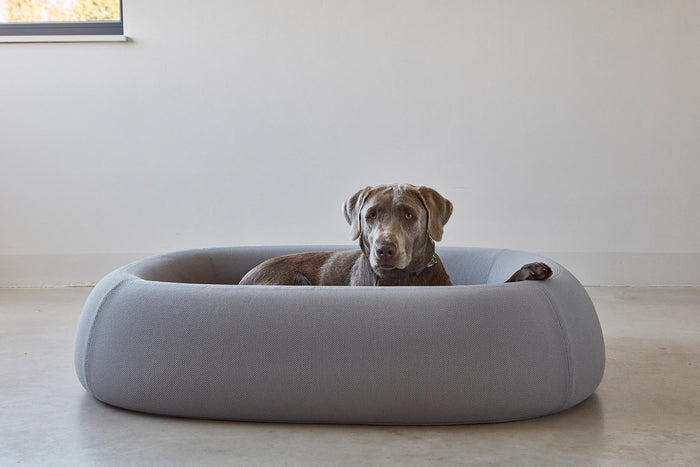 701c6b92-b135-43c4-93bc-3a1da76aa55e-afbeelding4.jpg (7485432)