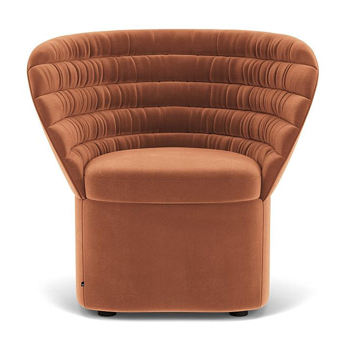 a1992f56-81db-49da-92b5-b82ec21aae4d-afbeelding7.jpg (7492490)