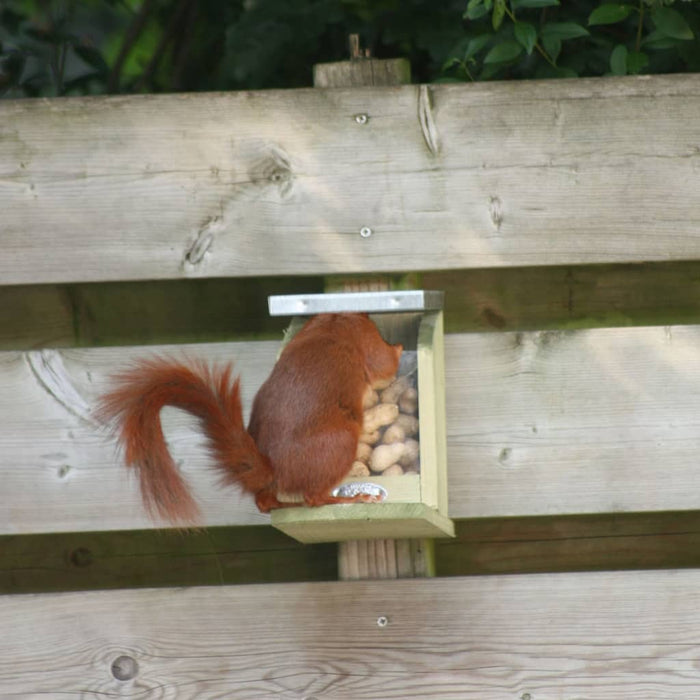 Esschert Design Eekhoornvoederhuisje 12,2x23x17,5 cm
