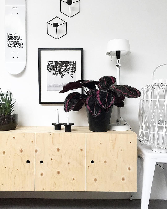 1e12116f-c42b-4cbc-99be-a85d46f1ac2a-afbeelding6.jpg (7500034)