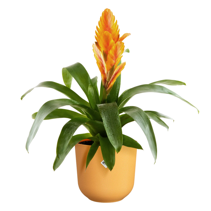 321612-x03-202310181322-C.png (7505973)