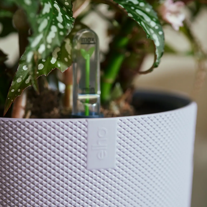 321613-x05-202310181322-A.png (7505984)