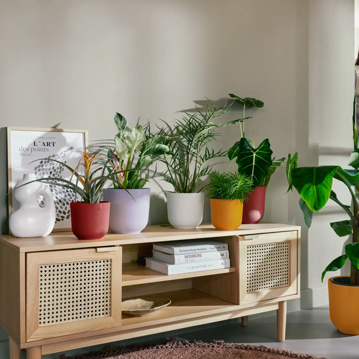 321617-x01-202310181322-A.png (7506017)