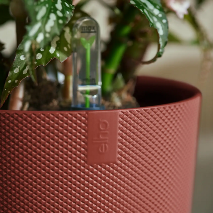 321621-x04-202310181321-A.png (7506058)