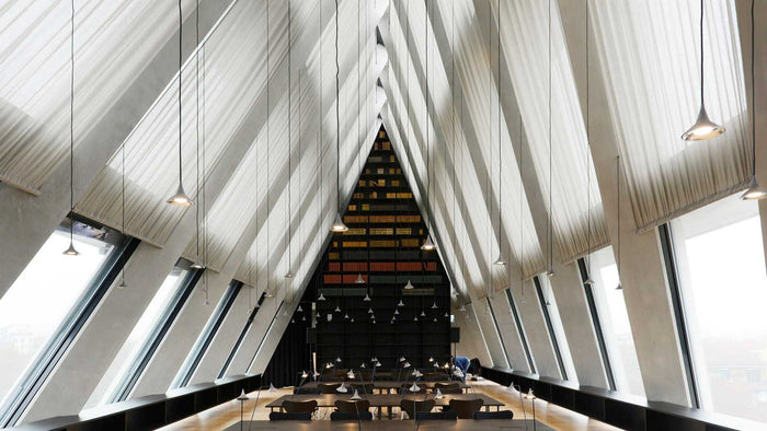 de5f56e5-eb94-4194-8f43-56888525a1b8-afbeelding8.jpg (7509598)