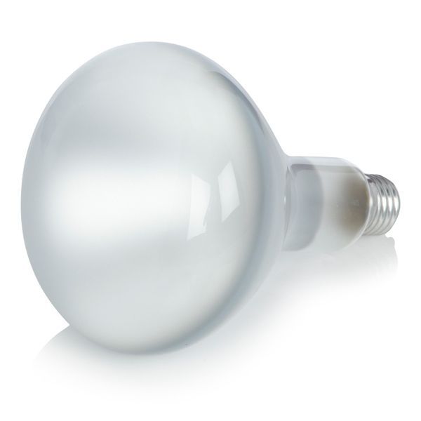 196c9201-06e1-432d-9f30-0d03cdabb7b4-afbeelding10.jpg (7522236)