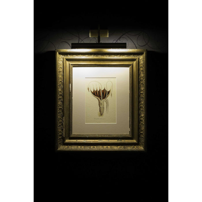 Moooi Carpets Umbrella Squid vloerkleed 350