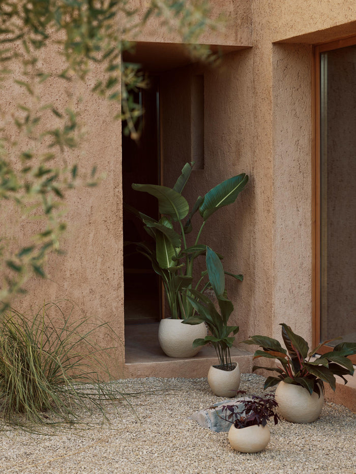 2e809f47-32dc-436b-83e8-fb59e36d2640-afbeelding4.jpg (7528443)