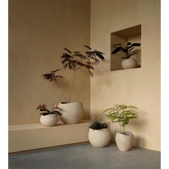 2e809f47-32dc-436b-83e8-fb59e36d2640-afbeelding5.jpg (7528446)