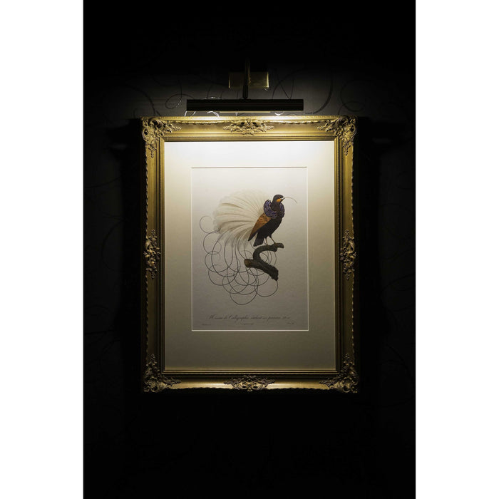 Moooi Carpets Calligraphy Bird vloerkleed 350