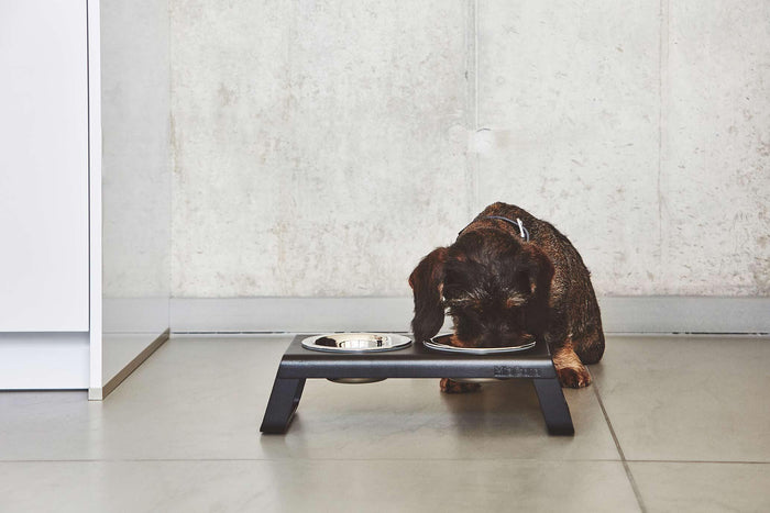 Desco hondenvoerbak medium essen naturel