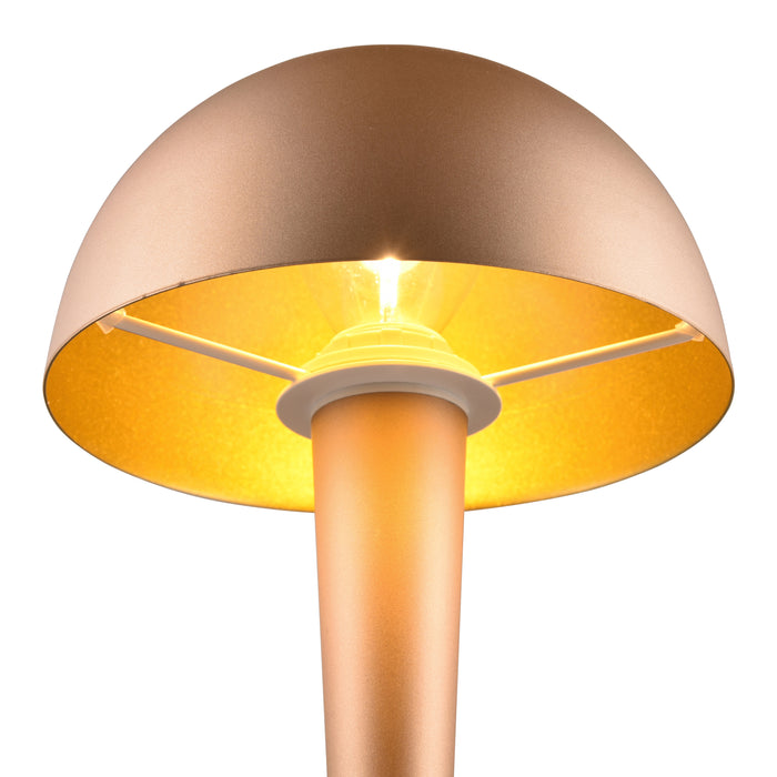 320657-x01-202310250924-C.jpg (7552127)