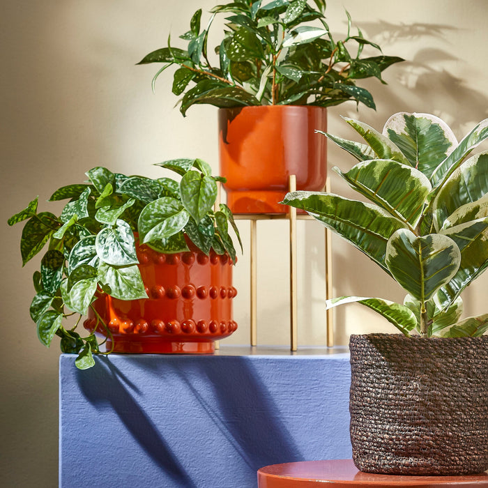 5cc47db0-732c-4236-b177-265bccbc8924-afbeelding10.jpg (7553483)