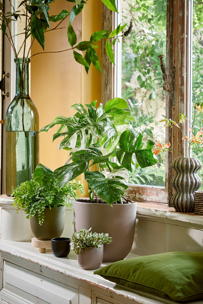 4317b695-0f2b-45f1-9215-c12bb128b371-afbeelding6.jpg (7553489)