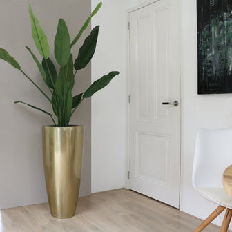 321493-x01-202311011022-A.jpg (7569773)