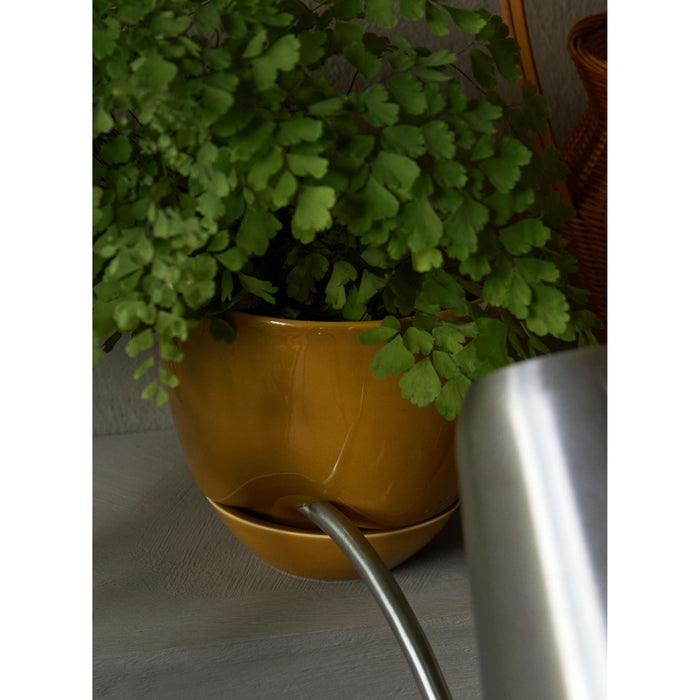 fe240040-33f9-44b9-a8f4-34e7f93a4a94-afbeelding8.jpg (7574895)