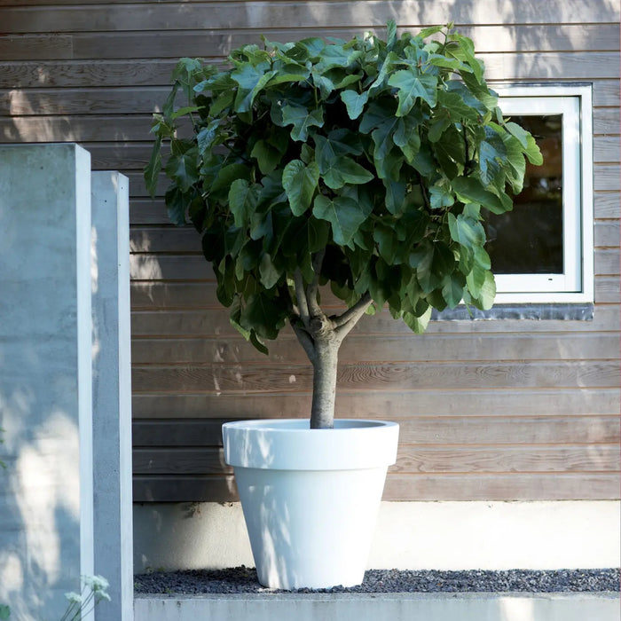 elho Pure Round Bloempot Ø 100 cm - Wit