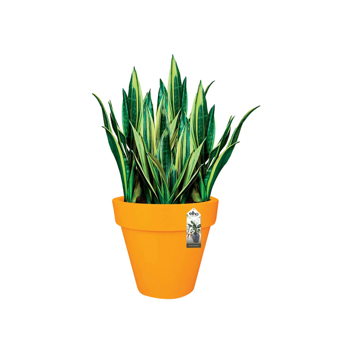 Elho Pure Round Bloempot Ø 50 cm - Geel