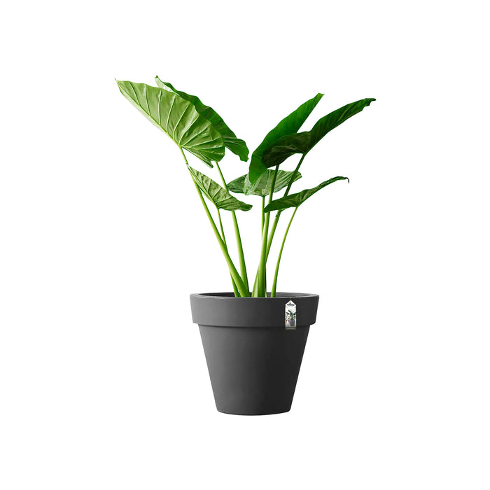 elho Pure Round Bloempot Ø 80 cm - Antraciet - 100% gerecycled kunststof