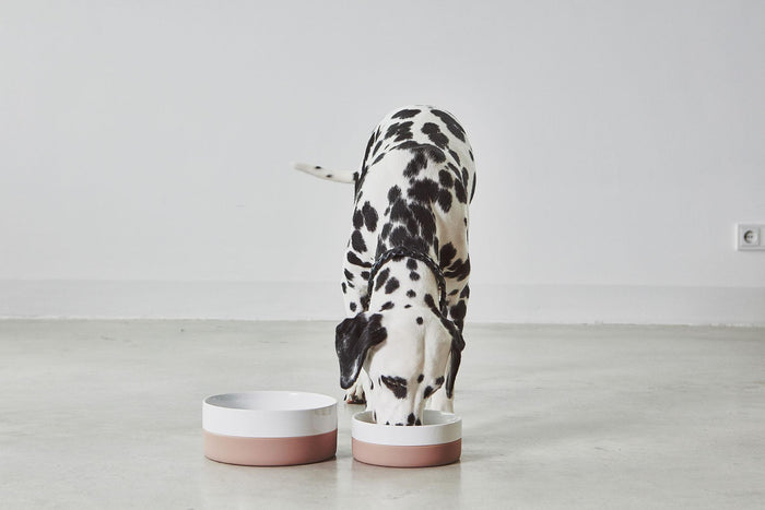 Coppa hondenvoerbak medium|large Ø21.5 slate